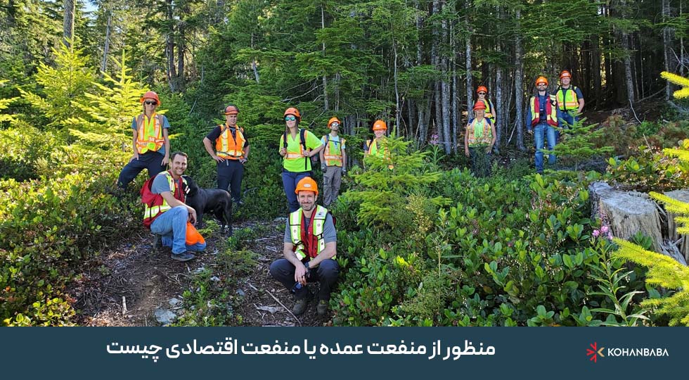 منظور از منفعت عمده یا منفعت اقتصادی چیست