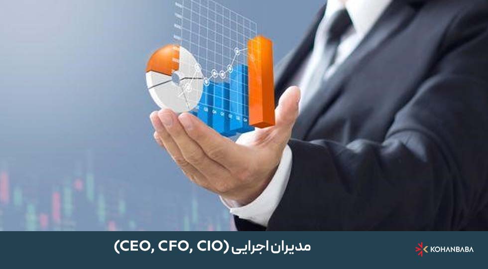3. مدیران اجرایی (CEO, CFO, CIO)